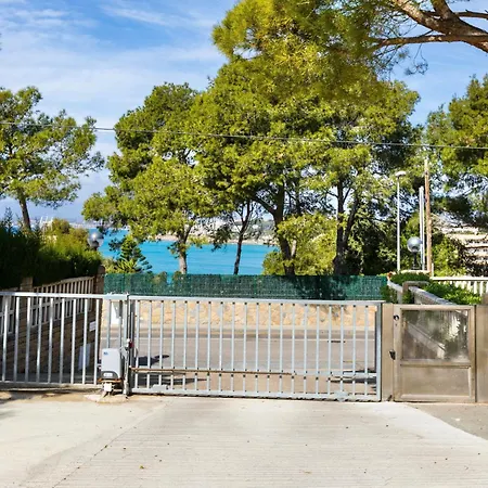 Mediterranean Way - Cye *